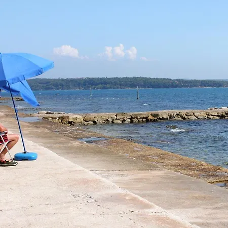 With Wifi Novigrad - 14743 Appartement *