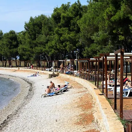 With Wifi Novigrad - 14743 Appartement Novigrad Istria