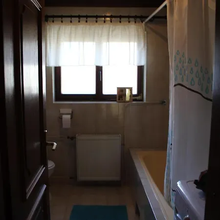 Appartement With Wifi Novigrad - 14743