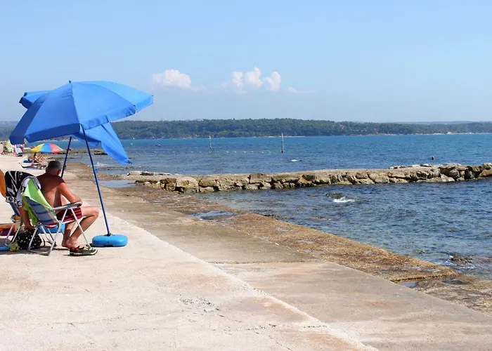 With Wifi Novigrad - 14743 Daire *