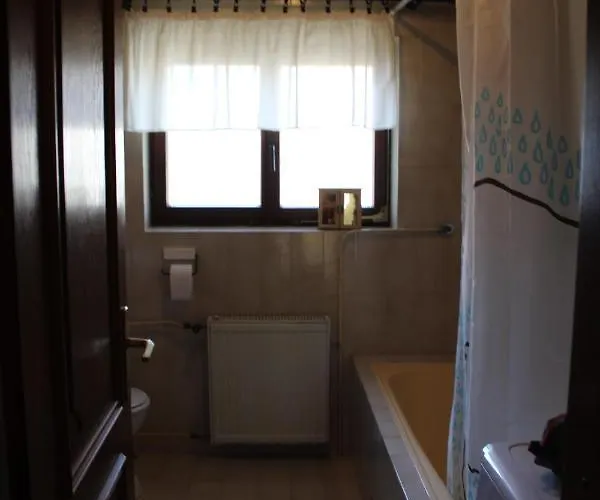 Daire With Wifi Novigrad - 14743